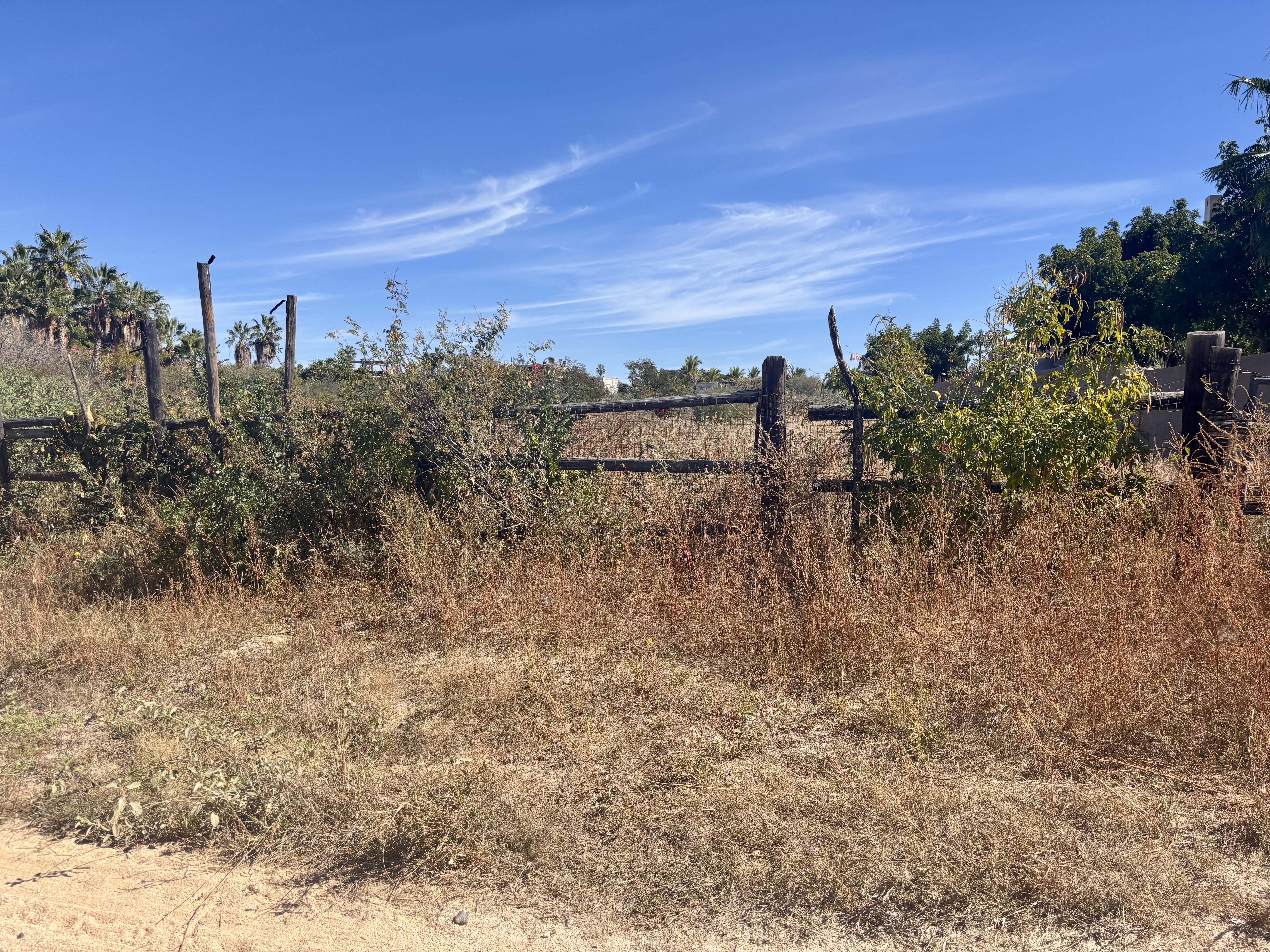 todos santos MX M house — photograph 1